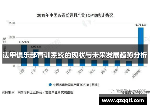 法甲俱乐部青训系统的现状与未来发展趋势分析